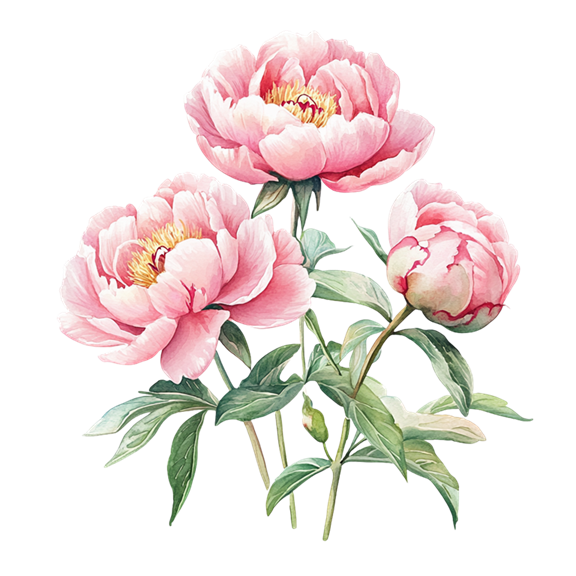 花朵图案