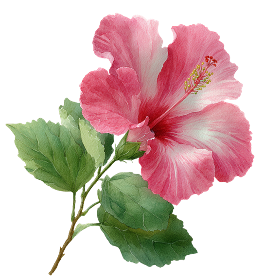花朵图案