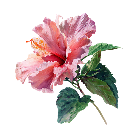 花朵图案